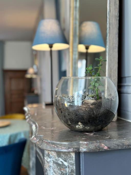 Apartmán Le Jardin Secret - Jardin/Loire Tours Exteriér fotografie